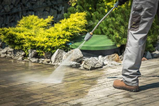 Best Window and Screen Pressure Cleaning in Grenada, MS