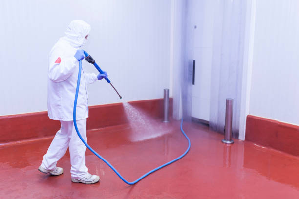 Best Residential Pressure Washing in Grenada, MS