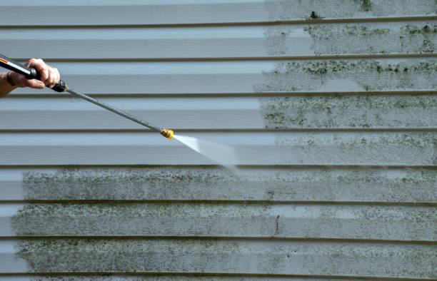 Best Gutter Cleaning and Brightening in Grenada, MS